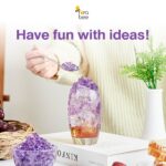 Fora Bee – Honey Kyoho Grape Jelly